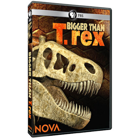 NOVA: Bigger than T. rex DVD - AV Item