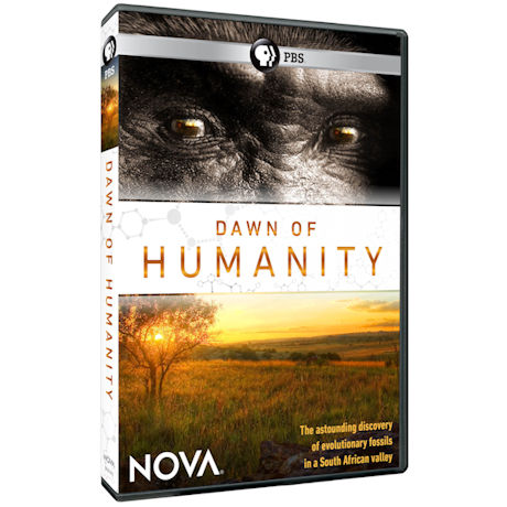 NOVA: Dawn of Humanity DVD - AV Item