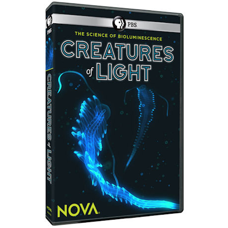 NOVA: Creatures of Light DVD - AV Item