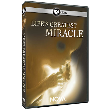 NOVA: Life's Greatest Miracle DVD