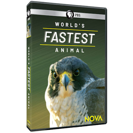 NOVA: World's Fastest Animal DVD - AV Item