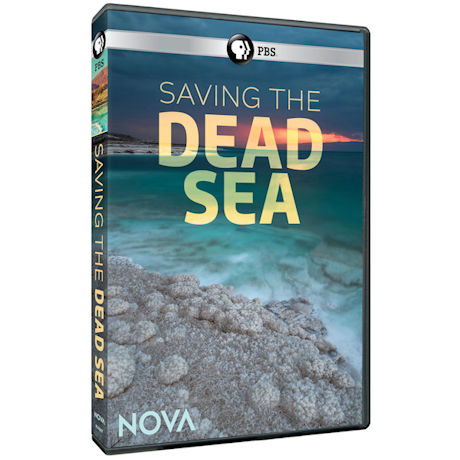 NOVA: Saving the Dead Sea DVD - AV Item