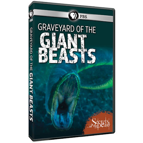 Secrets of the Dead: Graveyard of the Giant Beasts DVD