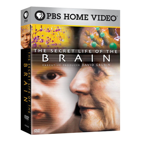 The Secret Life of the Brain 3PK DVD