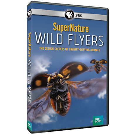 SuperNature - Wild Flyers DVD