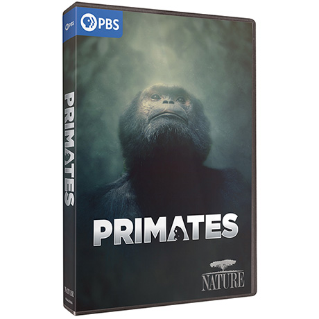 NATURE: Primates DVD