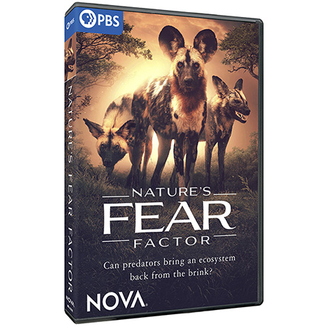 NOVA: Nature's Fear Factor DVD