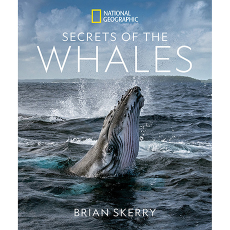 Secrets of the Whales (Hardcover)