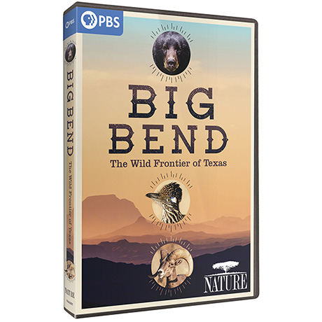 NATURE: Big Bend DVD