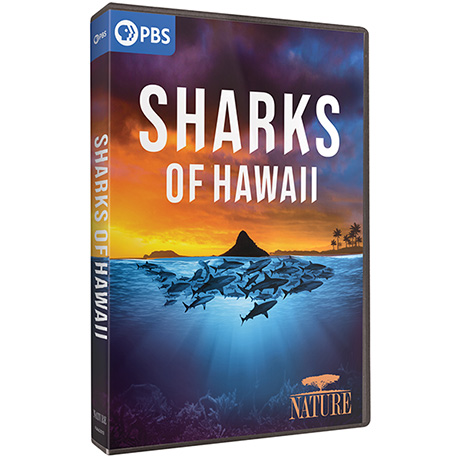 NATURE: Sharks of Hawaii DVD