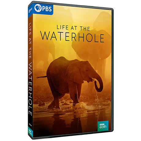 Life at the Waterhole DVD