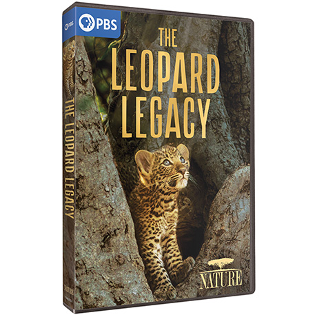 NATURE: The Leopard Legacy DVD