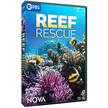 NOVA: Reef Rescue DVD