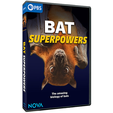 NOVA: Bat Superpowers DVD