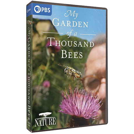 NATURE: My Garden of a Thousand Bees DVD