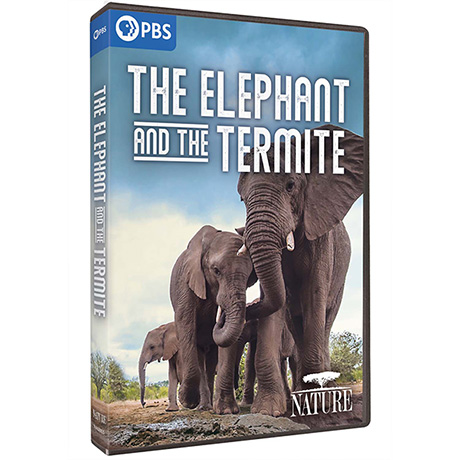 NATURE: The Elephant and the Termite DVD