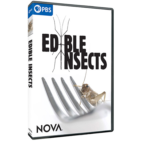 NOVA: Edible Insects DVD