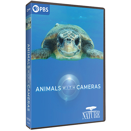 NATURE: Animals with Cameras Season 2 DVD
