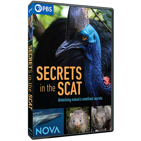NOVA: Secrets in the Scat DVD