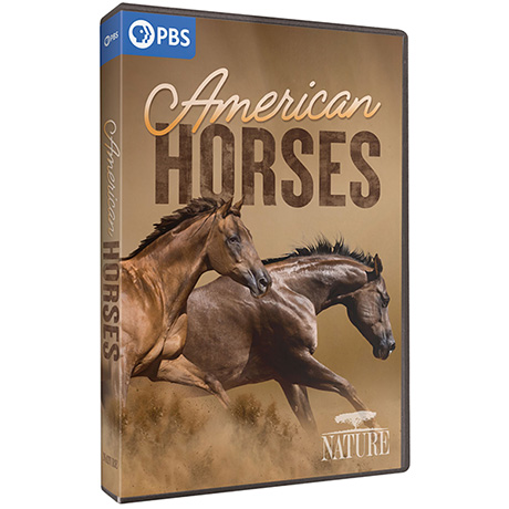 NATURE: American Horses DVD