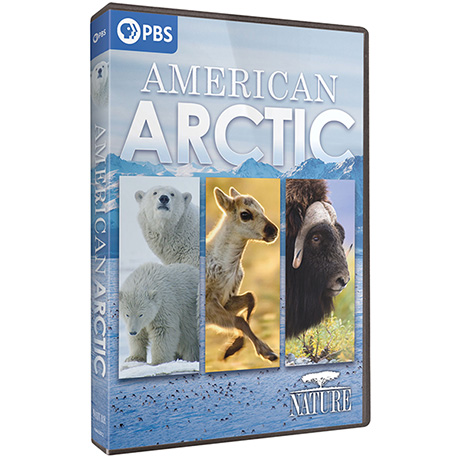 NATURE: American Arctic DVD