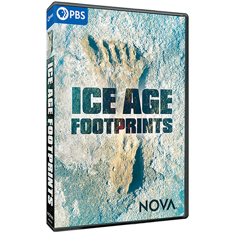 PRE-ORDER NOVA: Ice Age Footprints DVD