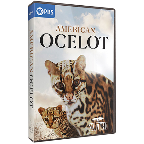 NATURE: American Ocelot DVD