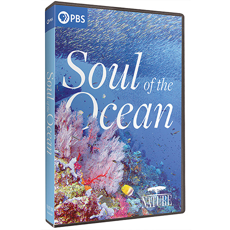 NATURE: Soul of the Ocean DVD