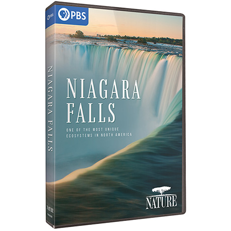 NATURE: Niagara Falls DVD