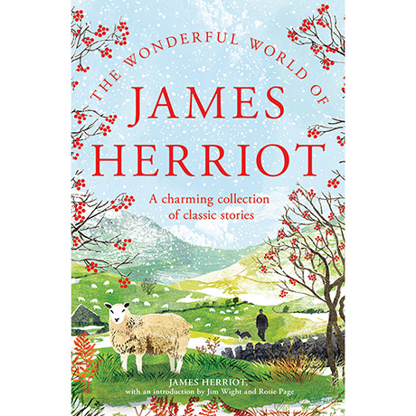 The Wonderful World of James Herriot (Hardcover)