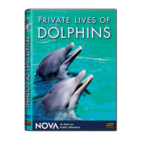 NOVA: Private Lives of Dolphins DVD