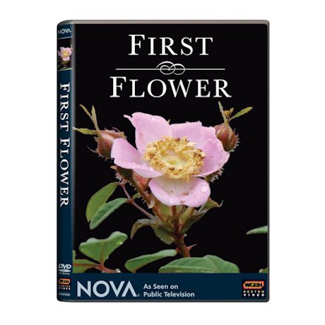 NOVA: First Flower  DVD