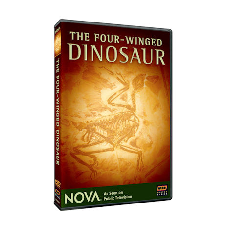 NOVA: The Four Winged Dinosaur DVD