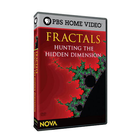 NOVA: Fractals: Hunting the Hidden Dimension DVD