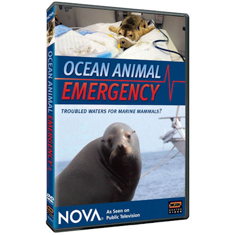NOVA: Ocean Animal Emergency: Troubled Waters for Marine Mammals? DVD