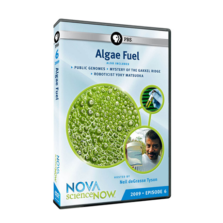 Algae Fuel: NOVA scienceNOW 2009, Episode 6 DVD