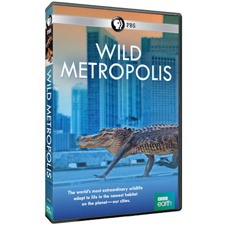 Wild Metropolis DVD - AV Item