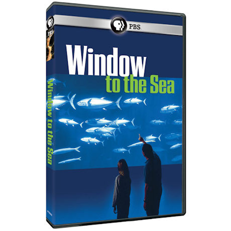 Window to the Sea DVD