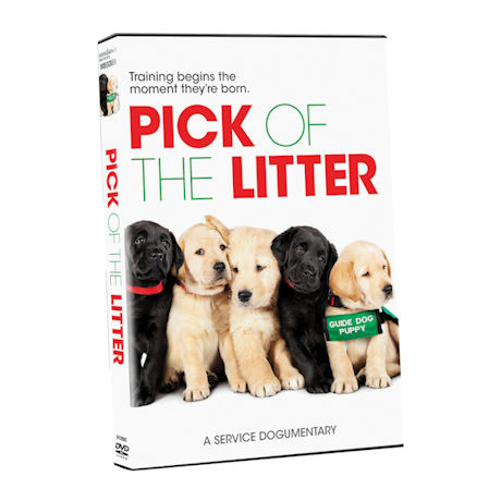 Pick Of the Litter DVD