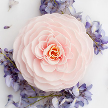Alternate Image 3 for Cherry Blossom Heirloom Rose Petal Soap