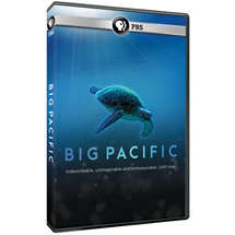 Alternate Image 0 for Big Pacific DVD & Blu-ray - AV Item