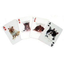 Alternate Image 1 for 3D Cat Playing Cards