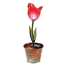 Product Image for Red Solar Flower Pot
