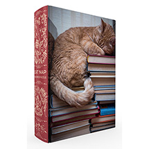 Product Image for Cat Nap Puzzle In Bookshelf Box