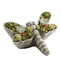 Product Image for Solar Dragonfly with Succulents Garden Light