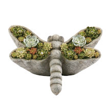 Alternate Image 1 for Solar Dragonfly with Succulents Garden Light