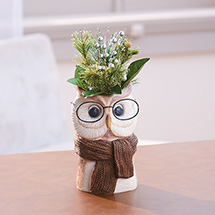 Product Image for Bespectacled Owl Pot