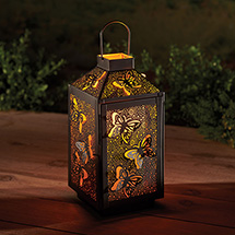 Product Image for Filigree Butterfly Lantern