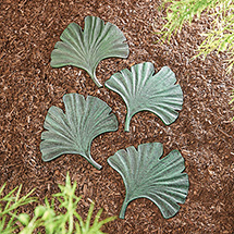 Product Image for Gingko Leaf Stepping Stone