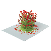 Product Image for Blooming Poppies Pop-Up Greeting Cards - Set of 6